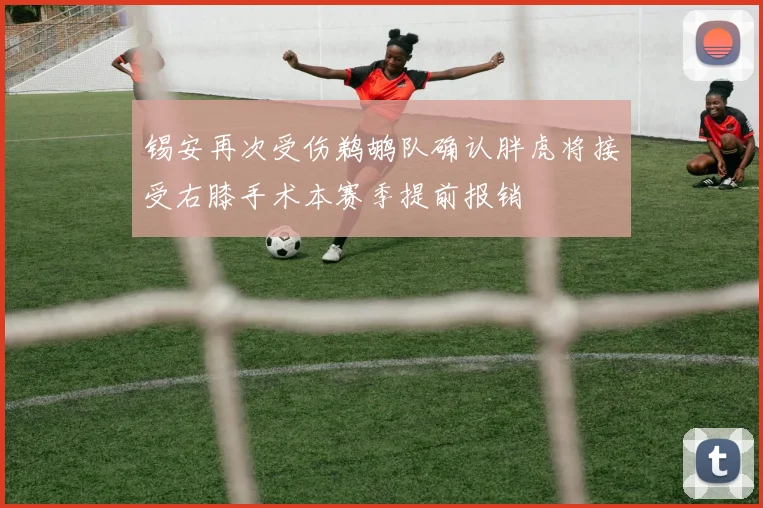 锡安再次受伤鹈鹕队确认胖虎将接受右膝手术本赛季提前报销