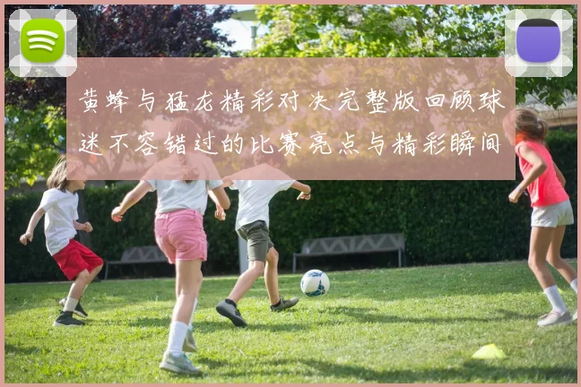 黄蜂与猛龙精彩对决完整版回顾球迷不容错过的比赛亮点与精彩瞬间