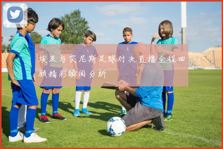 埃及与突尼斯足球对决直播全程回顾精彩瞬间分析